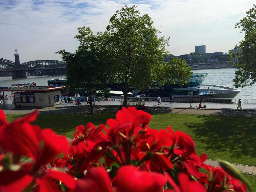 
Twin Room with Rhine River View
