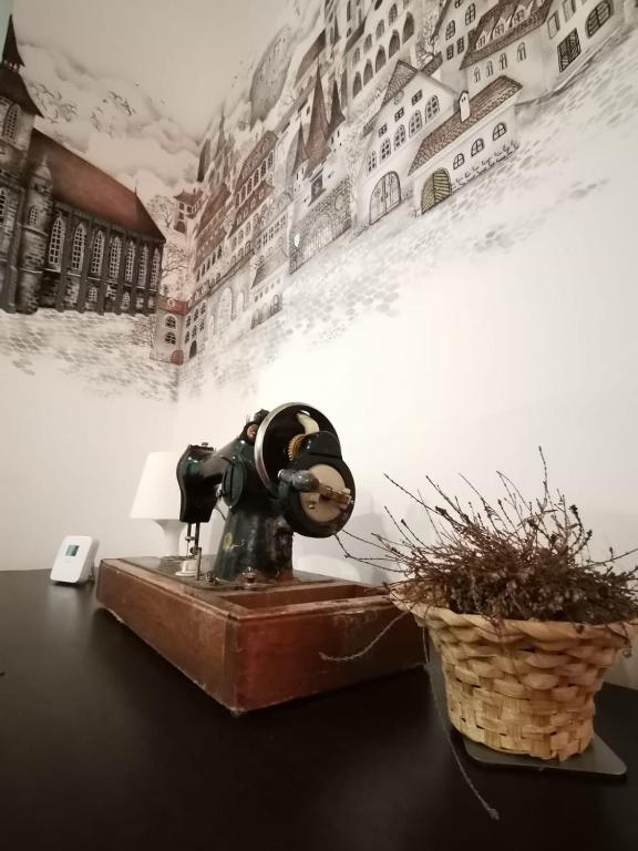 Fotografie z fotogalerie ubytování Vintage Downtown Hostel v destinaci Brašov