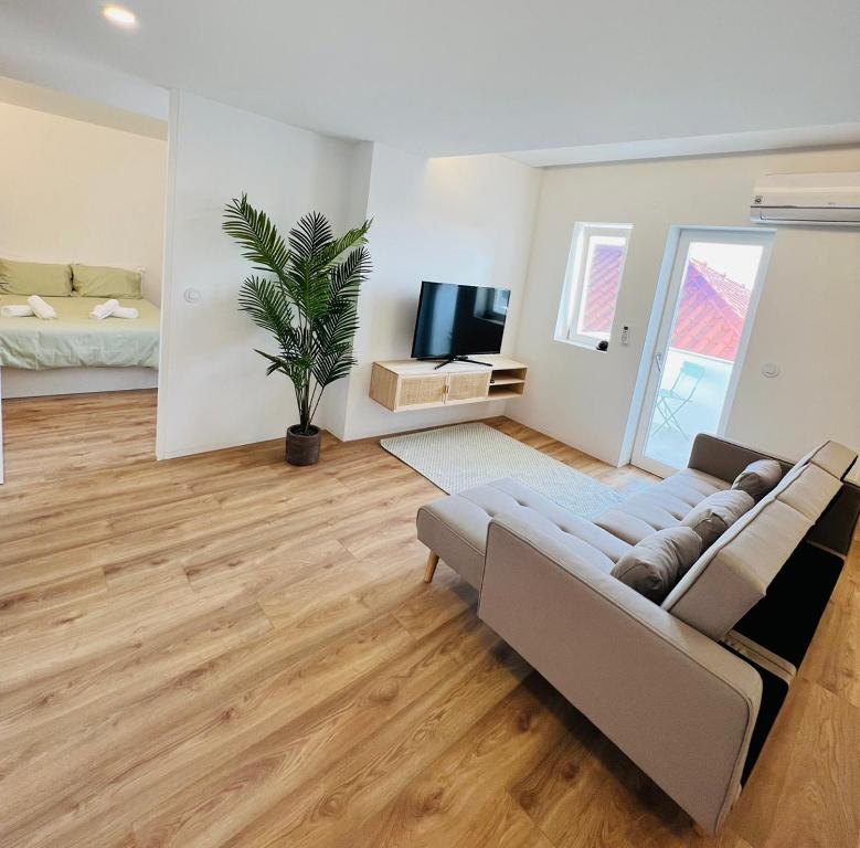 salon z kanapą i telewizorem w obiekcie Loft City Center Viana w mieście Viana do Castelo
