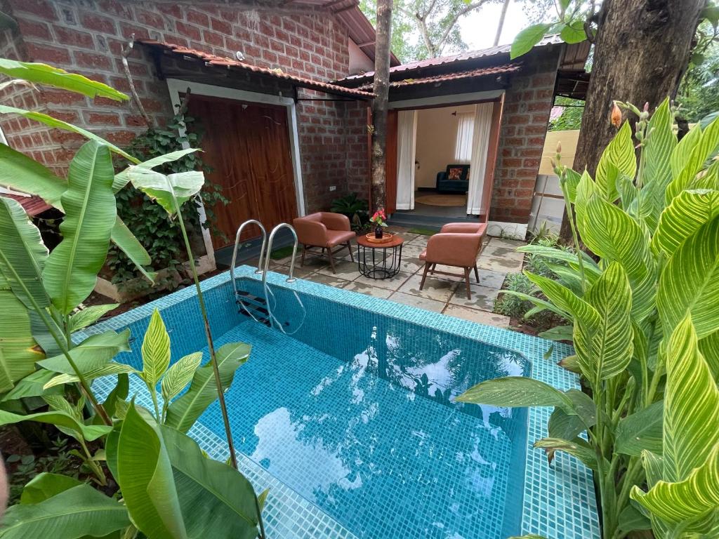 a swimming pool in a yard with plants at Cheerful 2-Bedroom Villa with Private Plunge Pool, Candolim, Goa in Marmagao