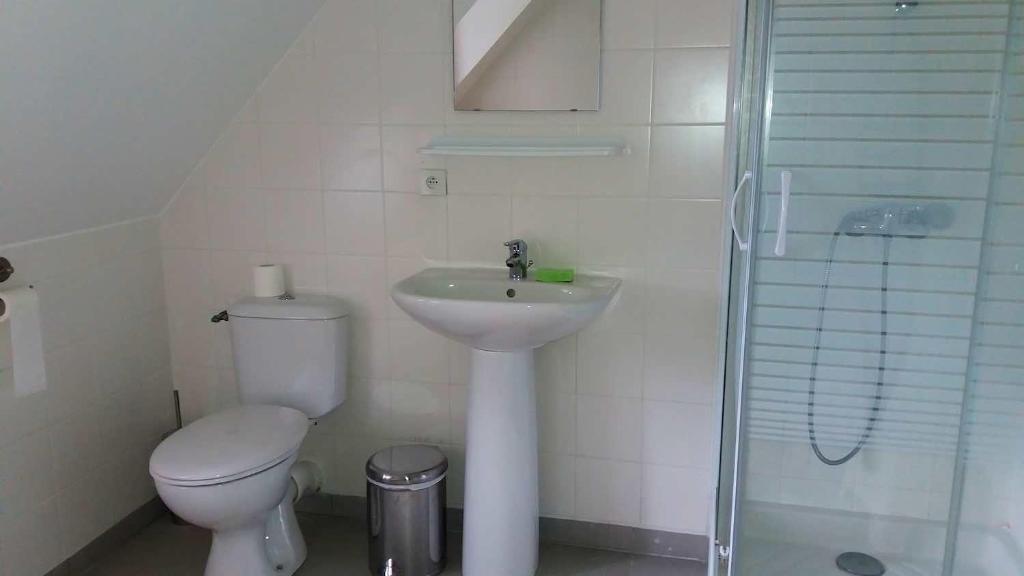 łazienka z toaletą, umywalką i prysznicem w obiekcie ancien moulin à eau entièrement rénové w mieście Prat