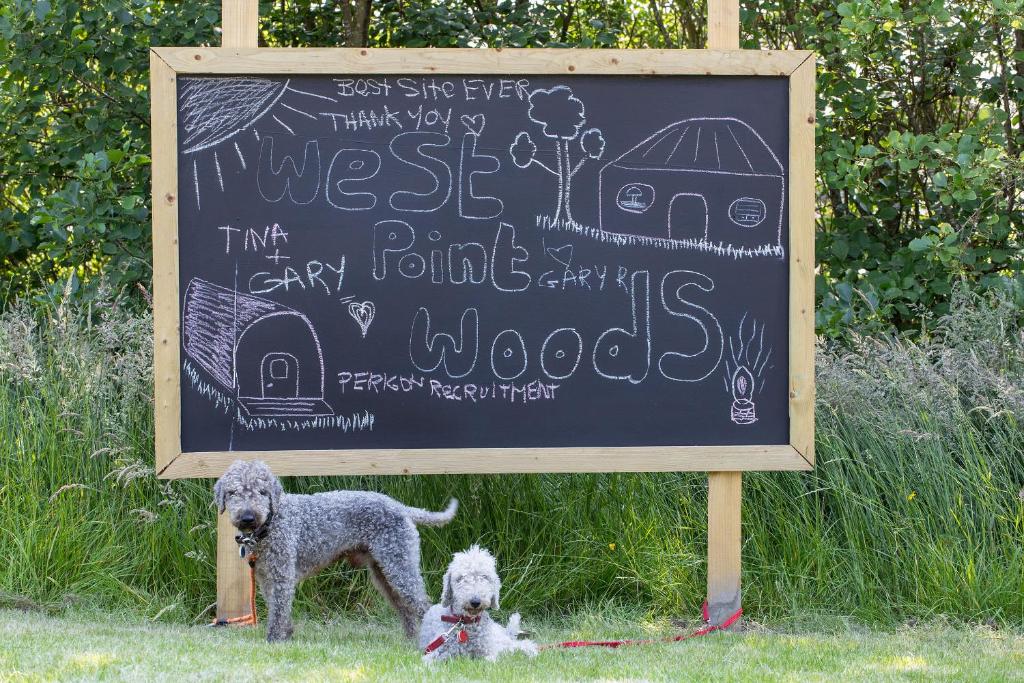 Domácí mazlíčci ubytovaní s hosty v ubytování West Point Woods