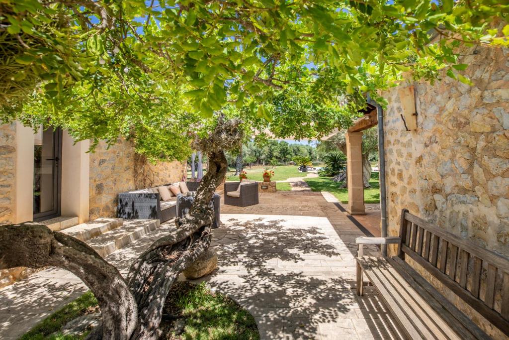 A garden outside Selva - 38903 Mallorca