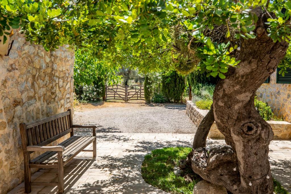 A garden outside Selva - 38903 Mallorca