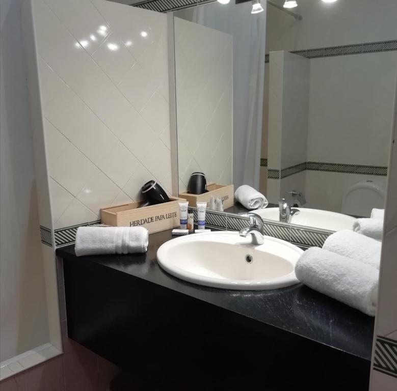 uma casa de banho com um lavatório e um espelho em Casa de Campo Alter Pedroso em Alter do Chão