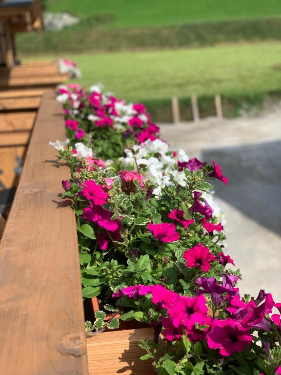 Zahrada ubytování Hochalmbahnen Chalets Rauris 1-20 WE3, Maislaufeldweg 1r OG