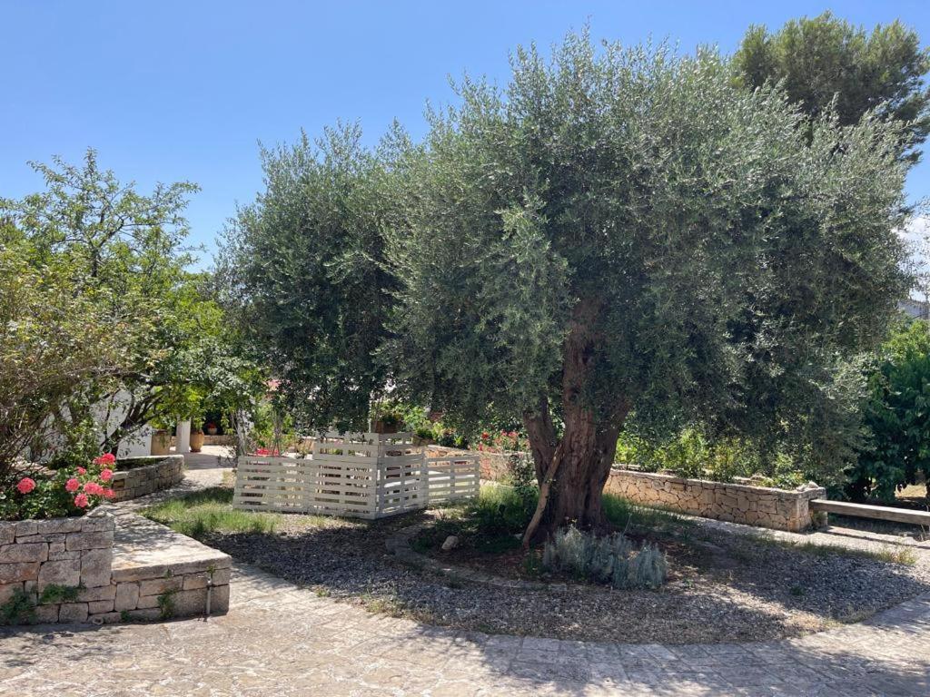 Ogród w obiekcie Il Giardino degli Antichi Sapori