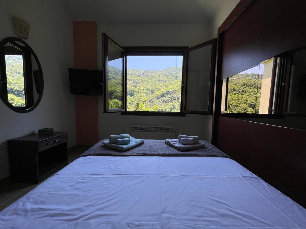 a bedroom with a large bed and two windows at Casa verde ver in Makrirrákhi