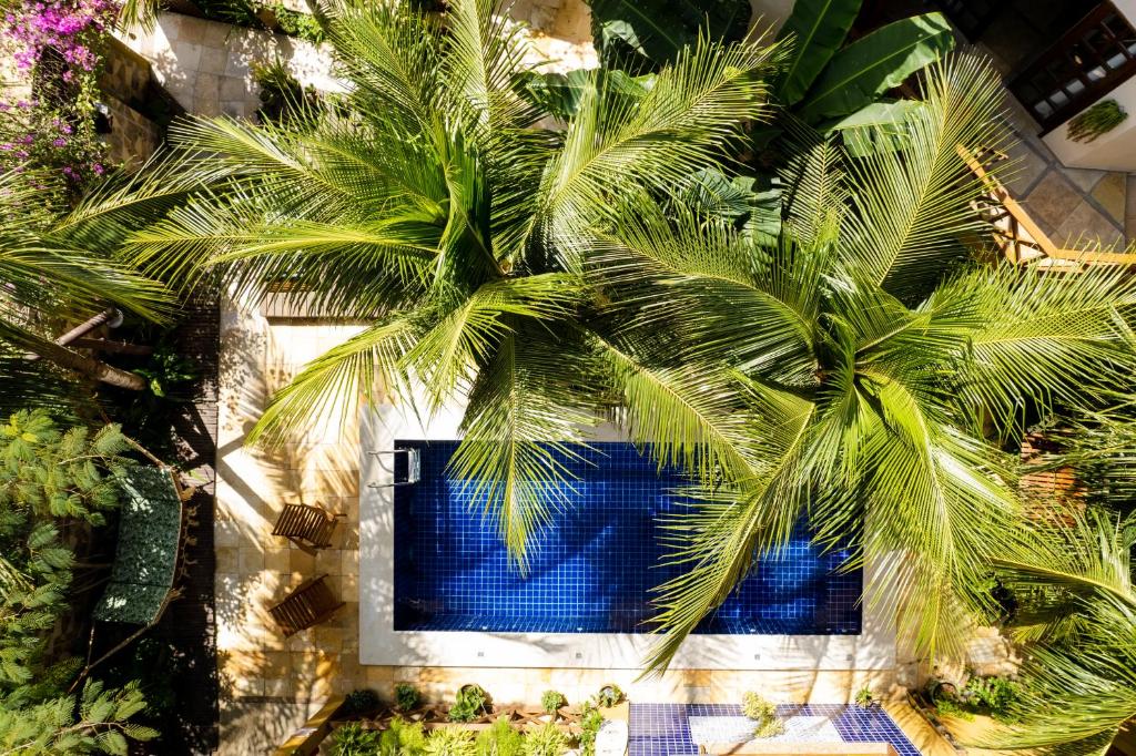 duas palmeiras em frente a uma piscina em Pousada Dharma em Jericoacoara