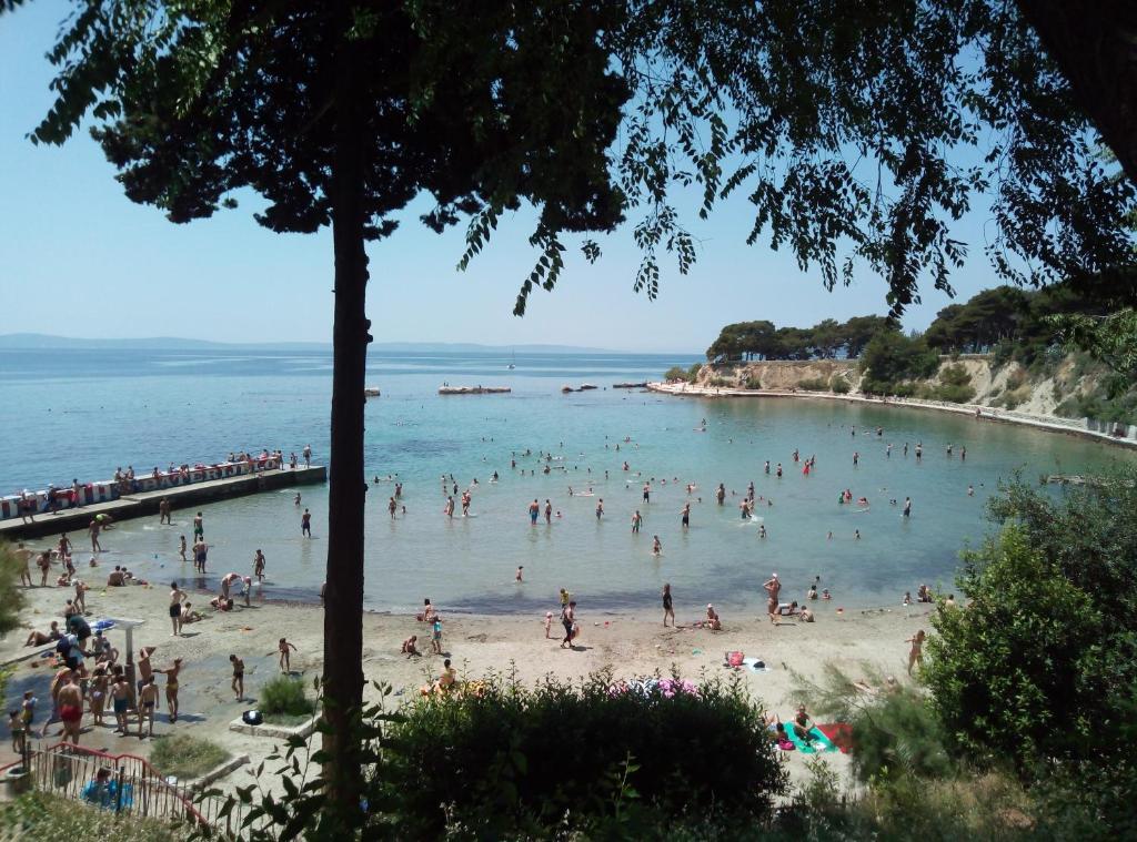 Príroda v okolí apartmánu