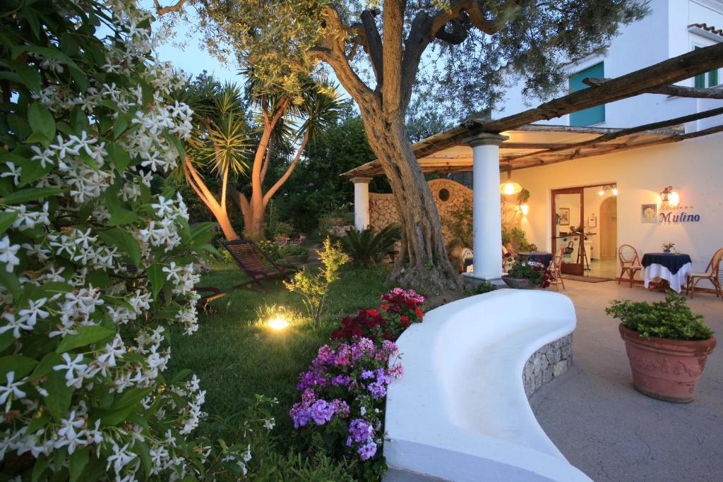 a garden with white flowers and a tree at Hotel Al Mulino in Anacapri