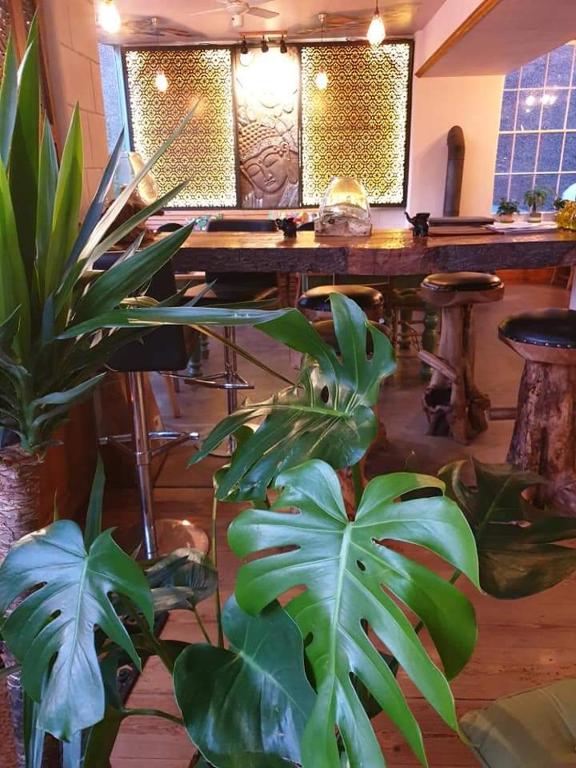 Fotografie z fotogalerie ubytování Banyan tree v destinaci Buxton