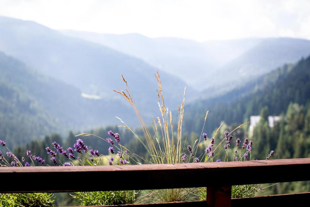 Bergblick Ruhe und Aussicht auf 1100m - One-Bedroom Apartment