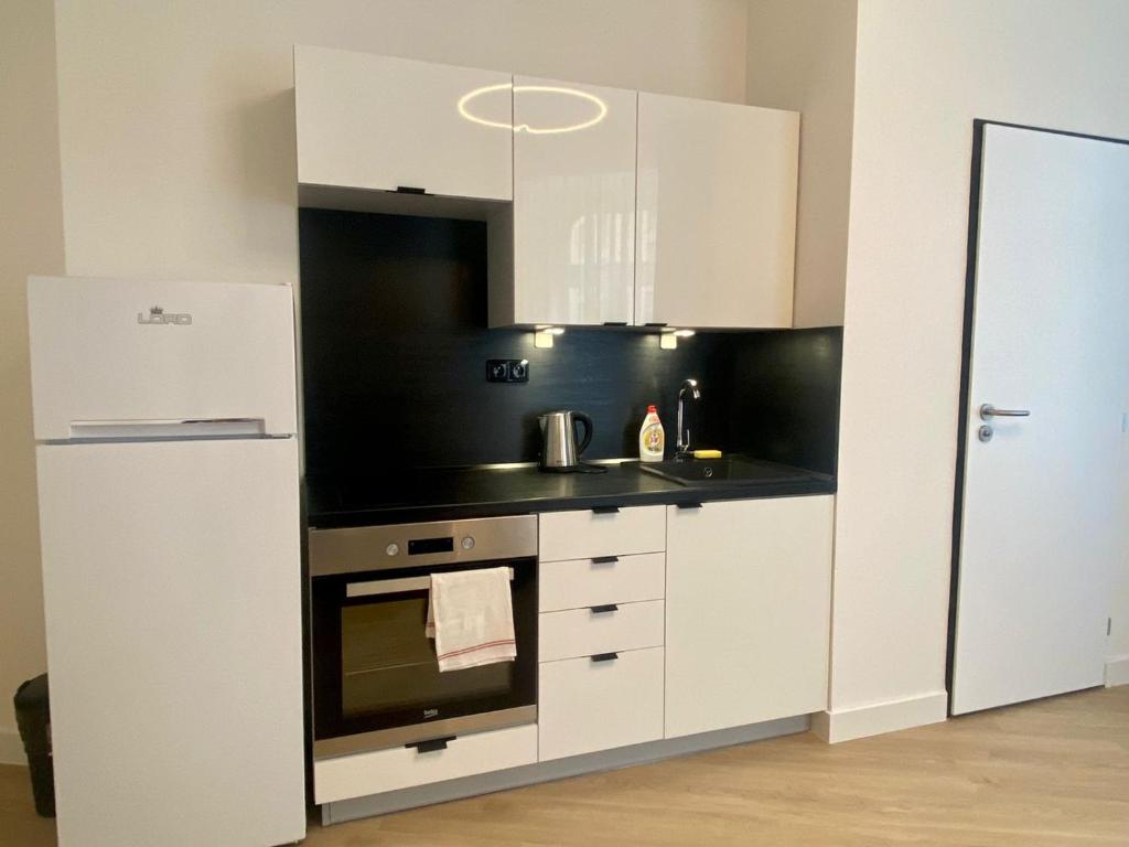 Kuchyň nebo kuchyňský kout v ubytování Figaro Suites