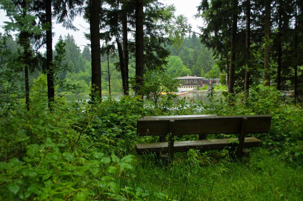 Příroda nedaleko hotelu