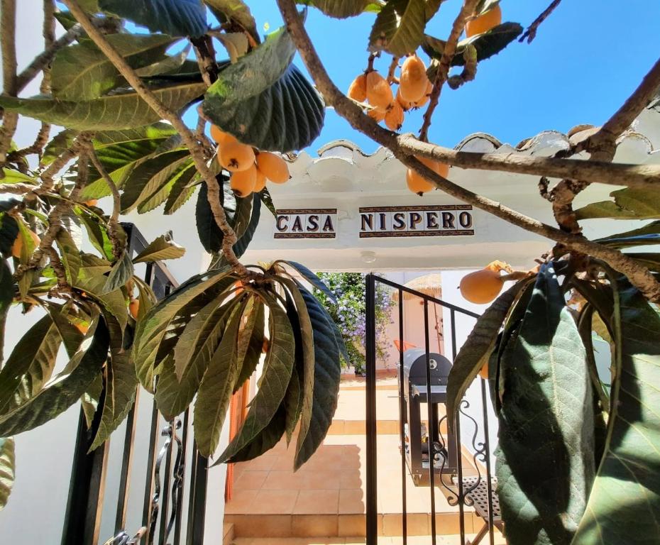 Fotografie z fotogalerie ubytování Casa Arroyo - Rosa & Nispero v destinaci Iznájar
