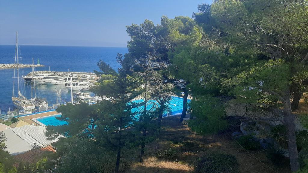 Príroda v okolí apartmánu
