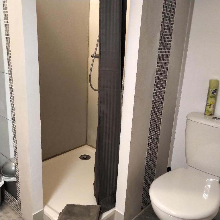 Koupelna v ubytování Espace Beléverte Bussière 2 Albizia appartement meublé de 2 chambres