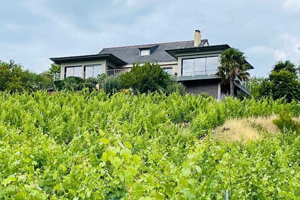 une maison assise au-dessus d'un champ de plantes dans l'établissement Maison des Coteaux blancs, à Chaudefonds-sur-Layon