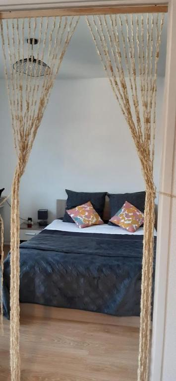 - une chambre avec un lit à baldaquin et des rideaux dans l'établissement Appartement climatisé T1 bis métro à 200 m, à Toulouse