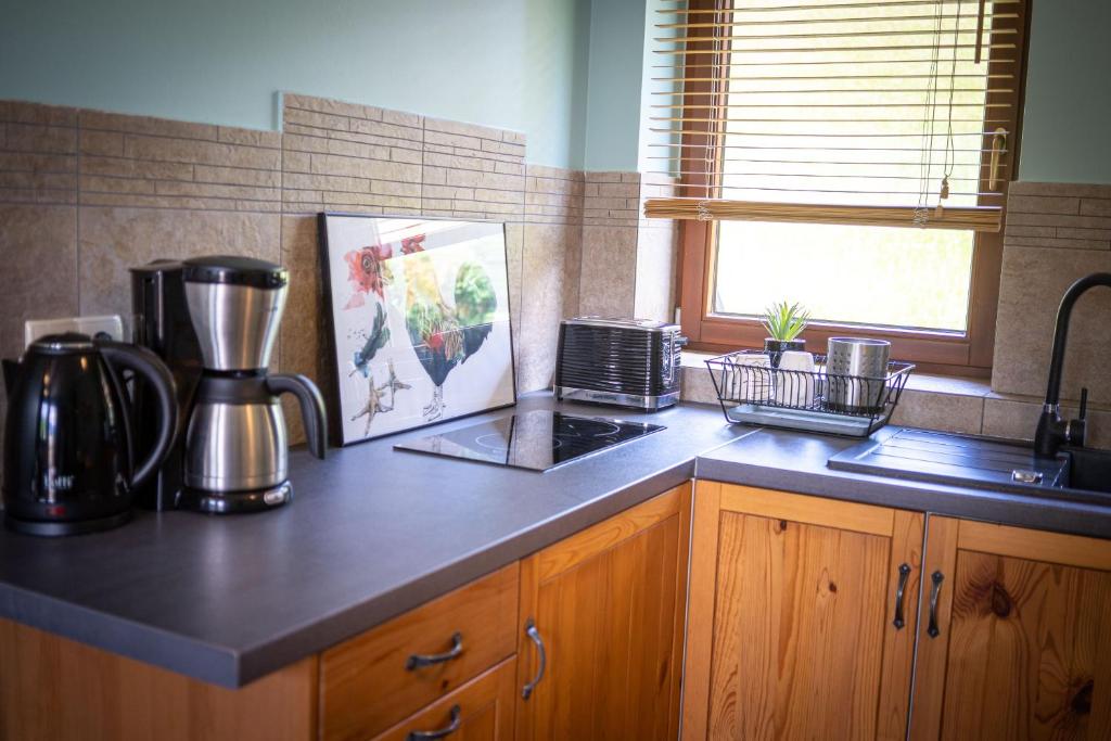 Kuchyňa alebo kuchynka v ubytovaní Apartamenty Góralmobile Zakopane