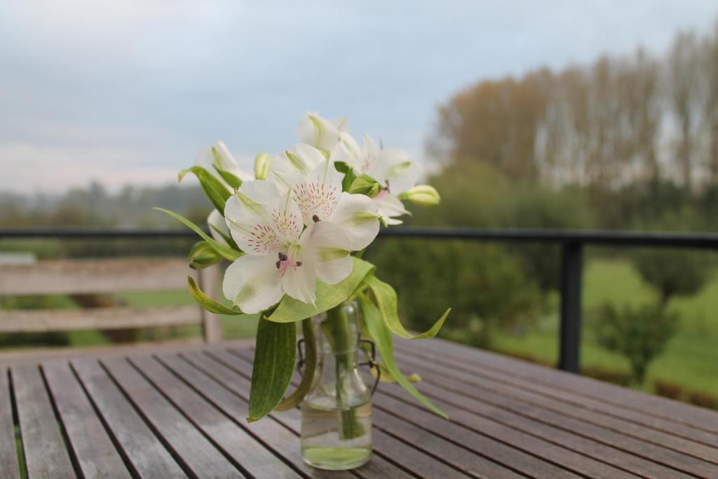 Fotografie z fotogalerie ubytování B&B Hier en Nu v destinaci Heusden