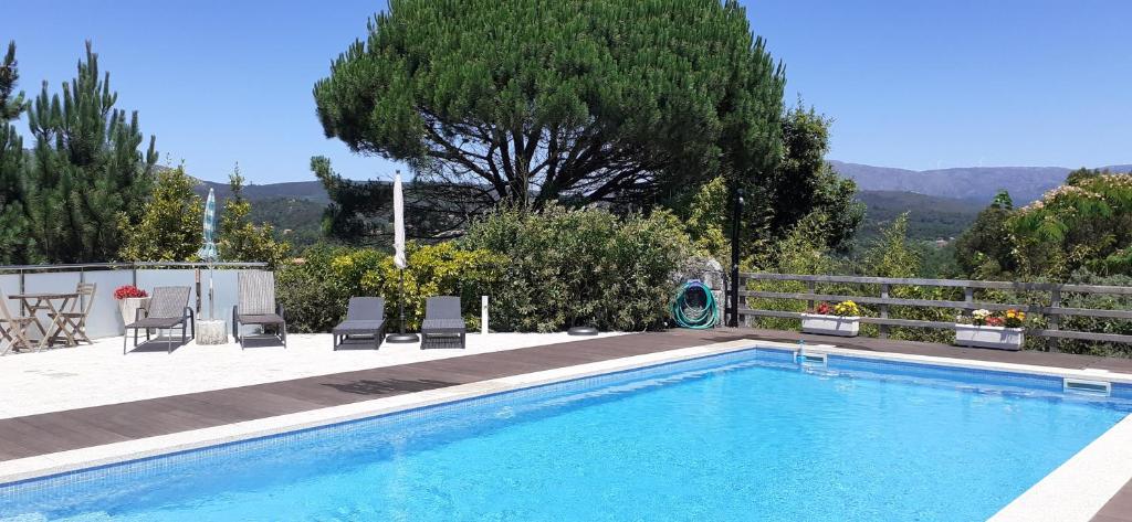 uma piscina com cadeiras e uma árvore em Casa de Santa Luzia A em Vila Praia de Âncora