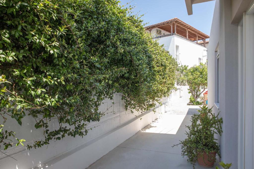 Κήπος έξω από το The Back Yard