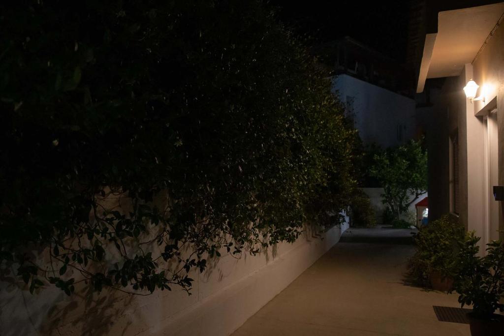 Φωτογραφία από το άλμπουμ του The Back Yard στην Καρδάμαινα