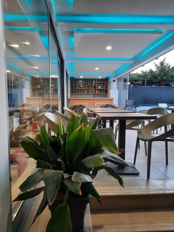 Luander Hotel - Imazhi 9