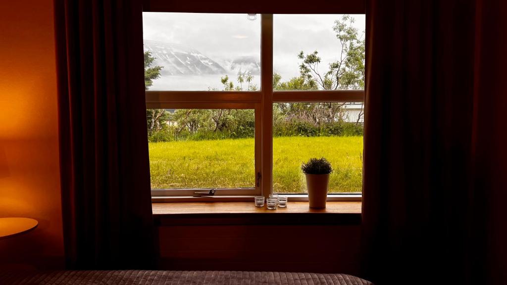 Zahrada ubytování Westfjords - Rooms