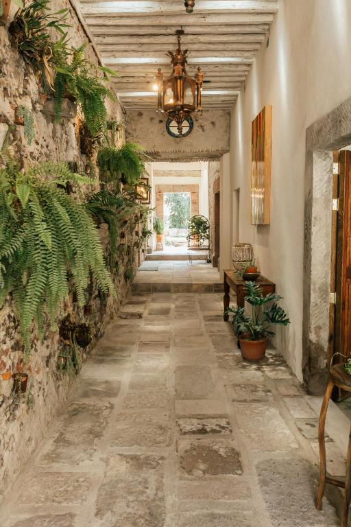 Fotografie z fotogalerie ubytování Orchid House San Miguel de Allende v destinaci San Miguel de Allende