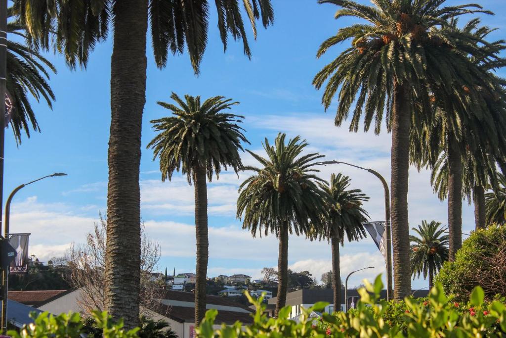 City Centre Escape - Resim 9