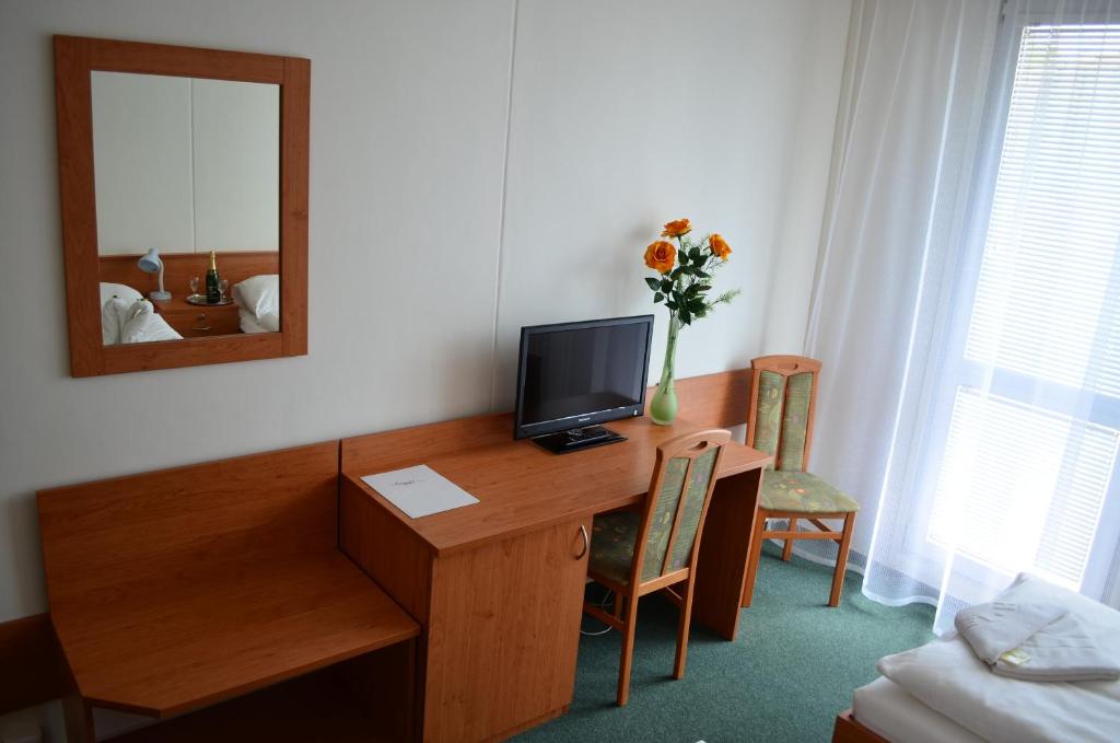 Televízia a/alebo spoločenská miestnosť v ubytovaní Hotel Arnost Garni