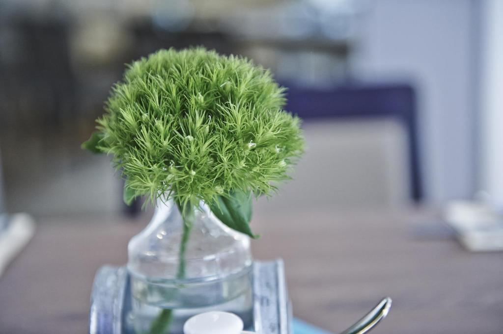 Hotel Elch Boutique - Resim 38