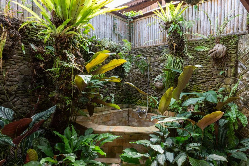 Zahrada ubytování Bali Firefly BnB