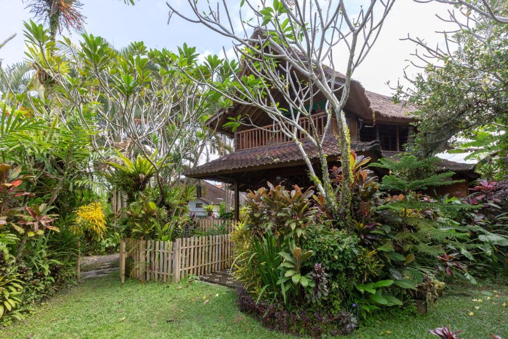 Zahrada ubytování Bali Firefly BnB