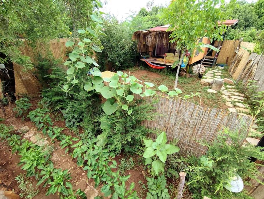un jardín con un montón de plantas y una valla en Tiny House Ceviz Kayaköy Jungle Camping, en Fethiye