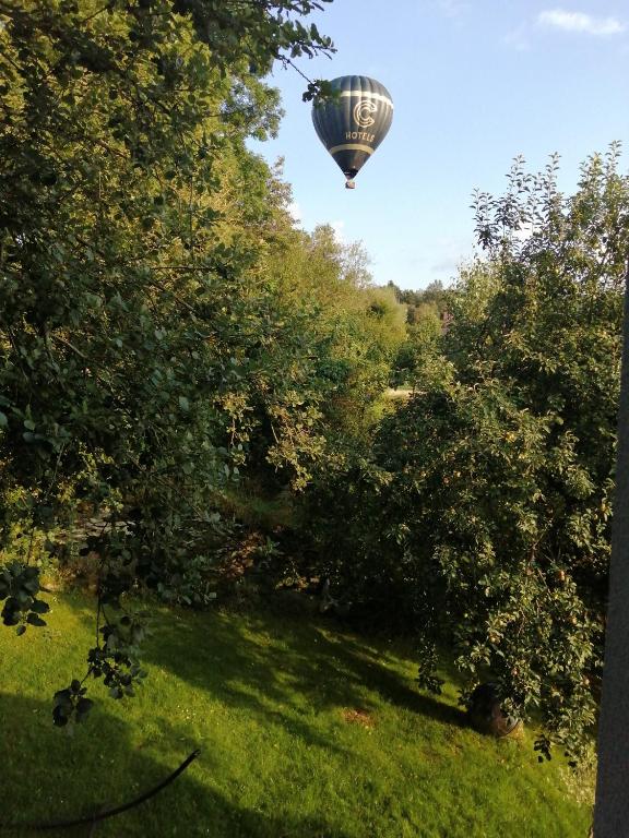 Příroda nedaleko bed and breakfast