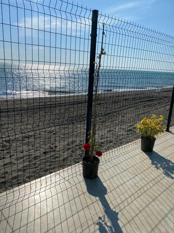 Nespecifikovaný výhled na moře nebo výhled na moře při pohledu z hotelu