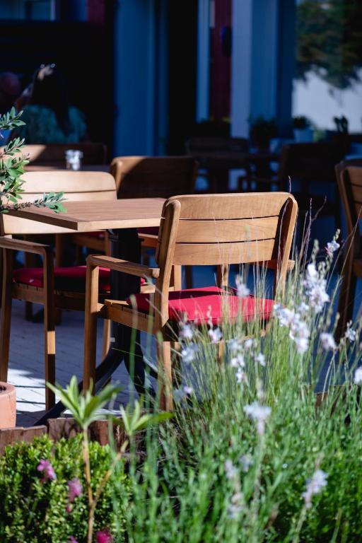 Сад в HôTEL LES VOLETS ROUGES - CASSIS