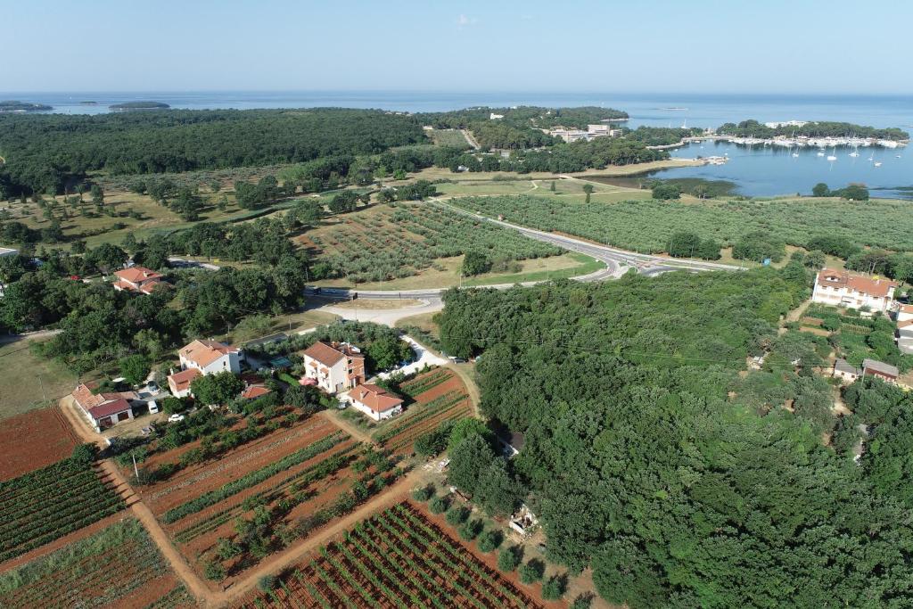 an aerial view of a estate with vineyards and a lake at Viva Molindrio in Poreč