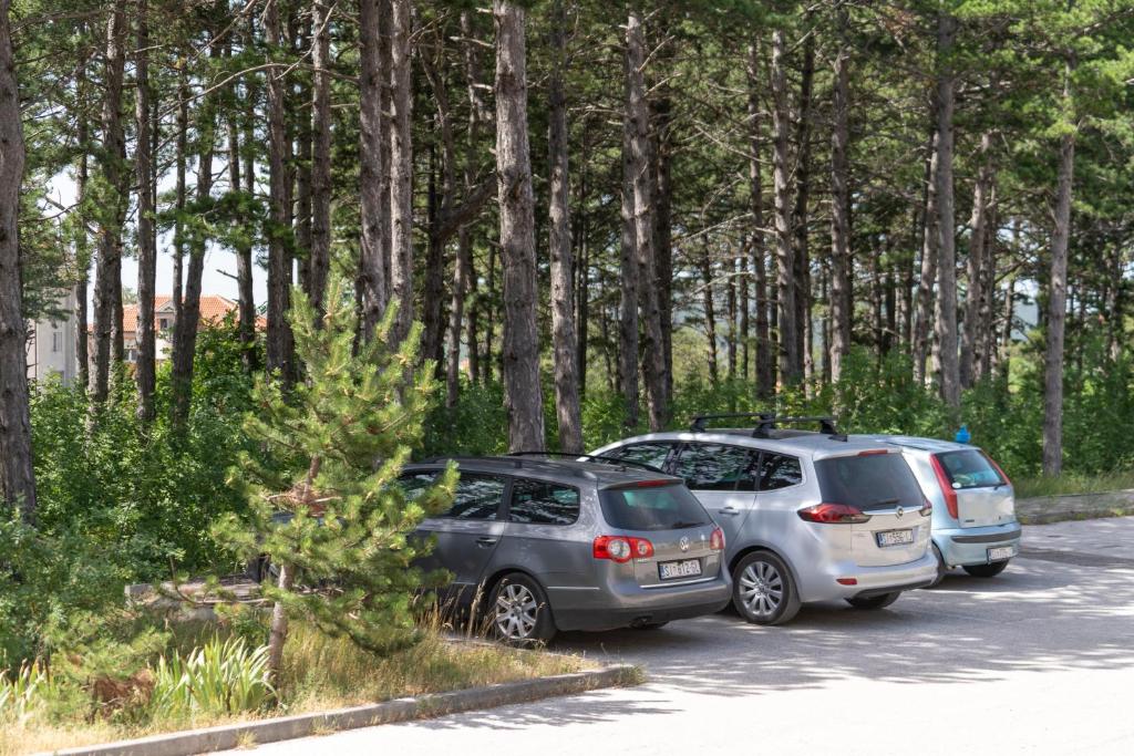 Fotografie z fotogalerie ubytování Apartman Čurčić v destinaci Knin