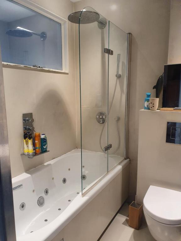 a bathroom with a shower and a toilet at Appartement in Stadsdeel West in Amsterdam