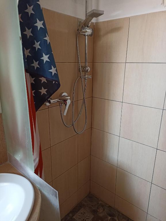 baño con ducha con bandera americana en la pared en Uj Vilag, en Harkány