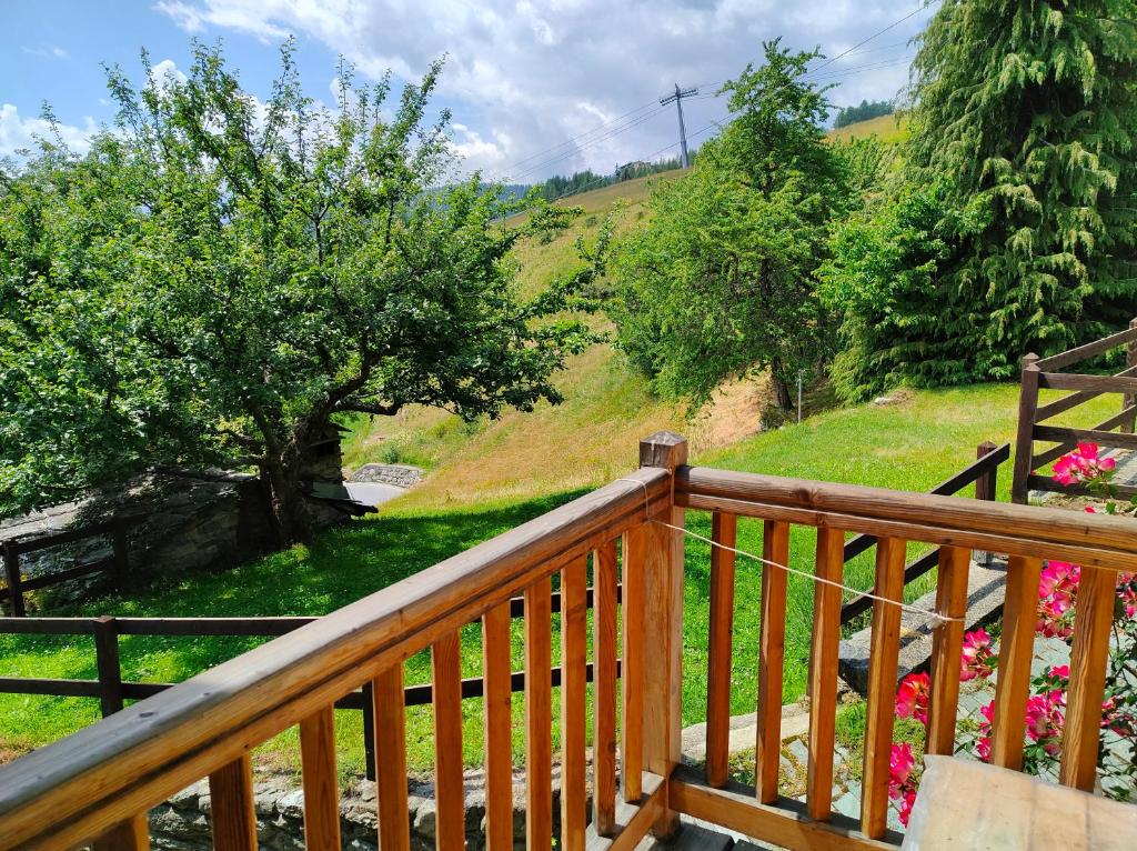 Príroda v okolí apartmánu