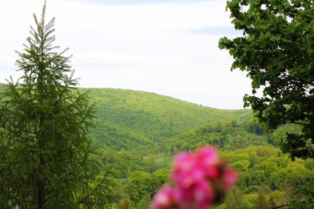 a view of a green hill with a pink flower at Lili's Lovely Log Home in the Forest in Bükkszentkereszt