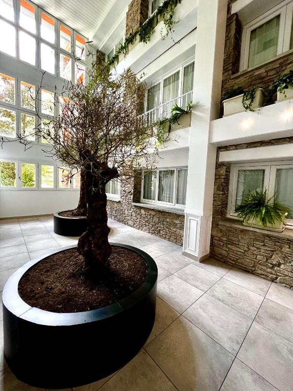 Zahrada ubytování Hotel & SPA Bringué