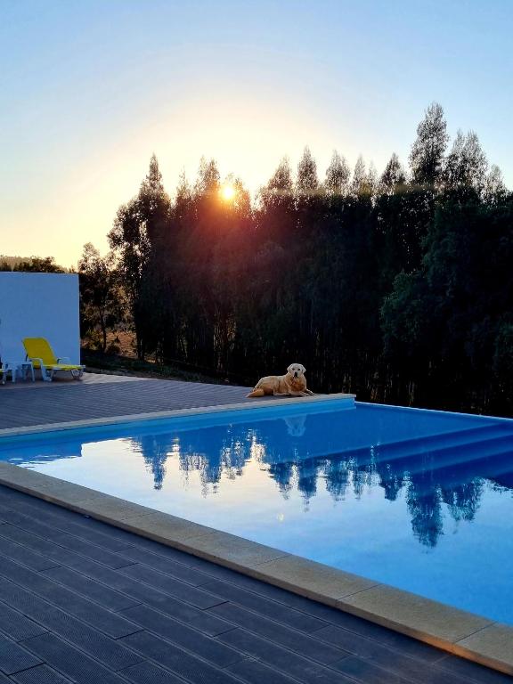 Bazén v ubytování Herdade Monte Novo Do Pocinho nebo v jeho okolí