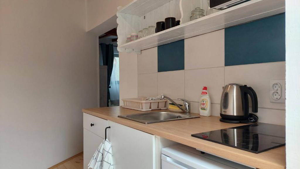 Kuchyň nebo kuchyňský kout v ubytování EVA HOUSE